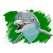 0-Delfin
