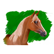 12-Caballo