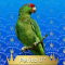 07-Perico