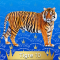 10-Tigre