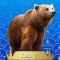 16-Oso