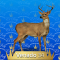 34-Venado
