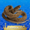 36-Culebra